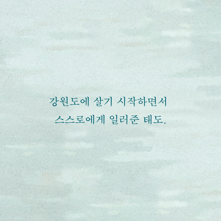 카드뉴스5