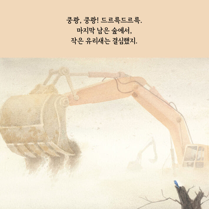 카드뉴스2