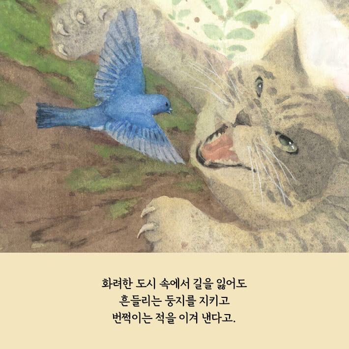 카드뉴스3