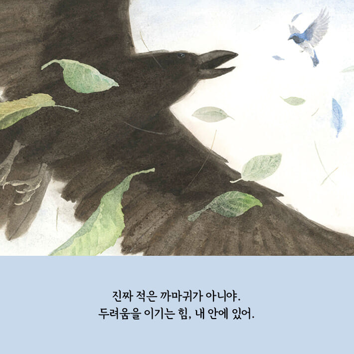 카드뉴스5