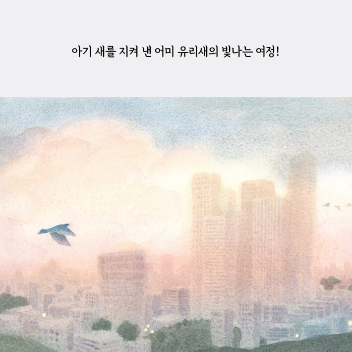 카드뉴스7