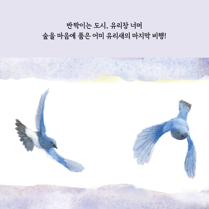 카드뉴스8