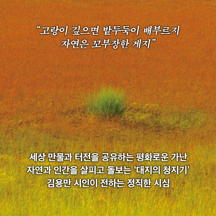 카드뉴스3
