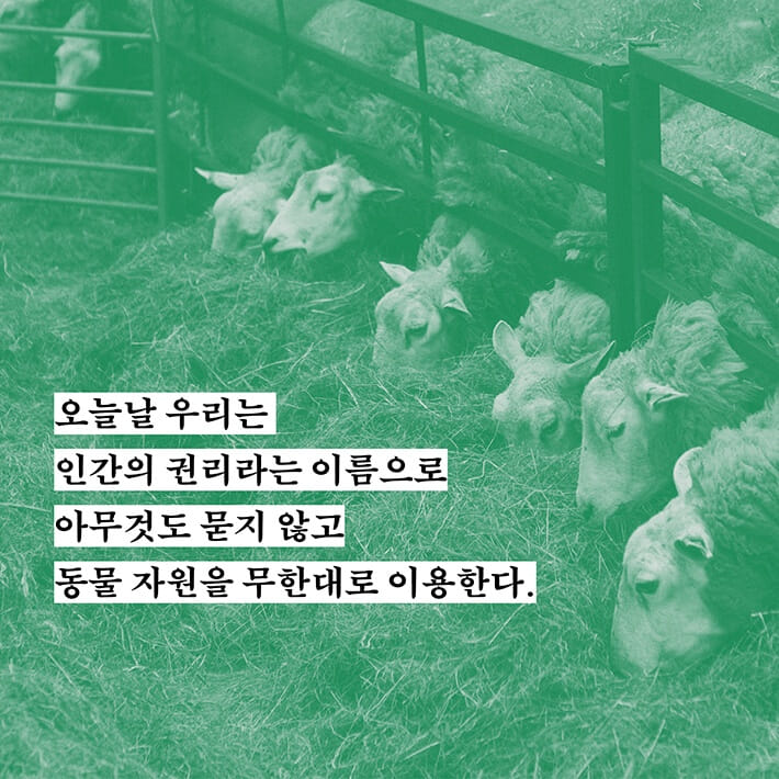 카드뉴스3
