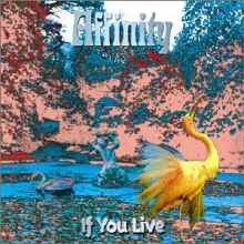 Affinity - If You Live? (LP Sleeve/수입)