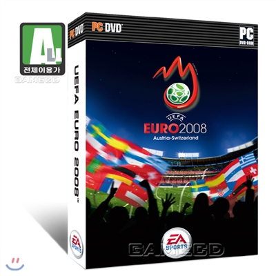 UEFA 유로 08(PC)