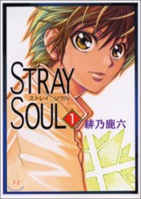 Stray soul 1