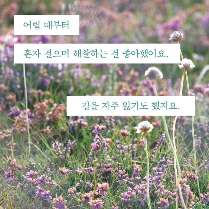 카드뉴스2