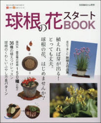 球根の花スタ-トBOOK