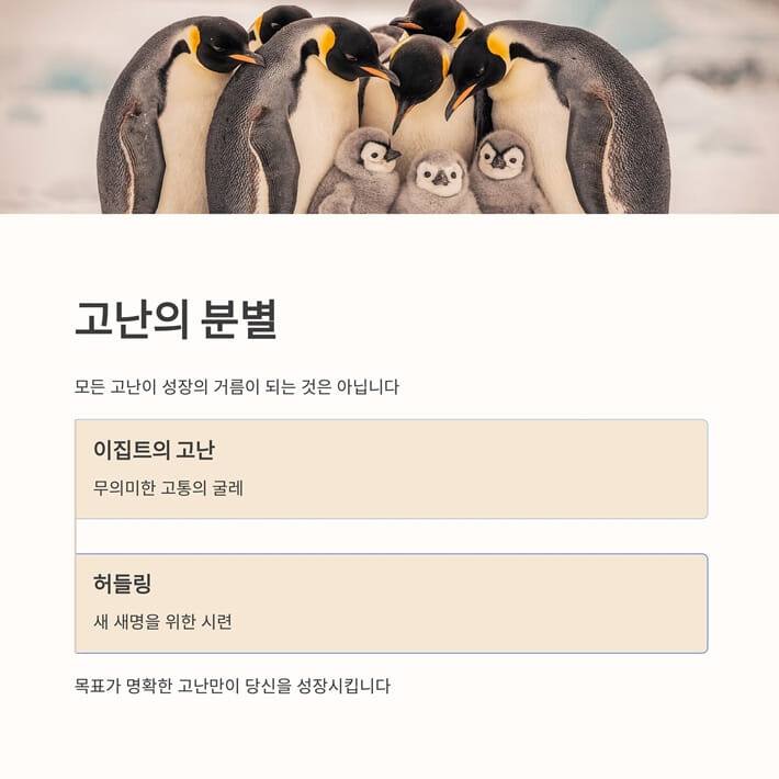 카드뉴스6