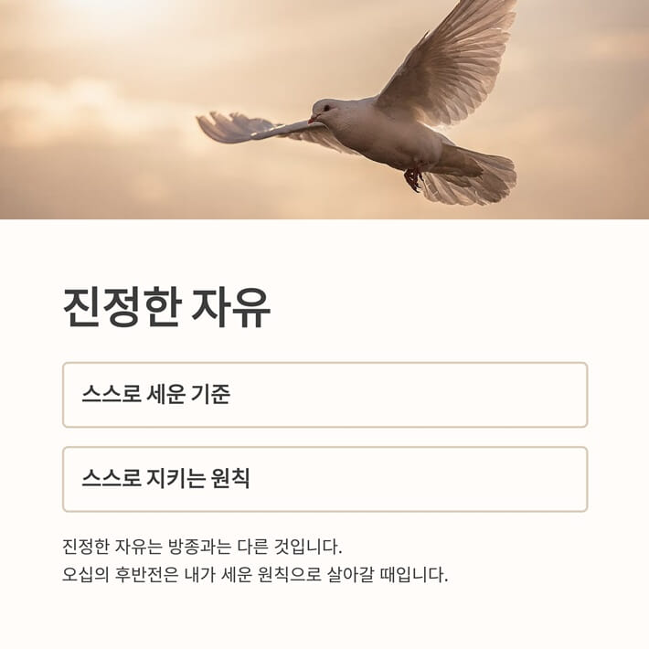 카드뉴스7