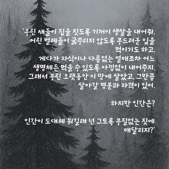 카드뉴스