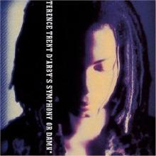 Terence Trent D&#39;Arby - Terence Trent d&#39;Arby&#39;s Symphony or Damn (수입)