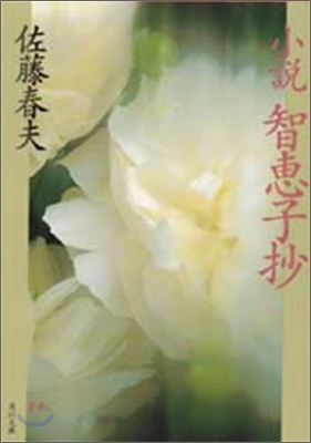 小說智惠子抄