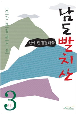 [중고] 남도빨치산 3