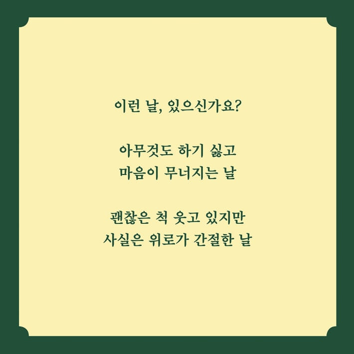 카드뉴스2