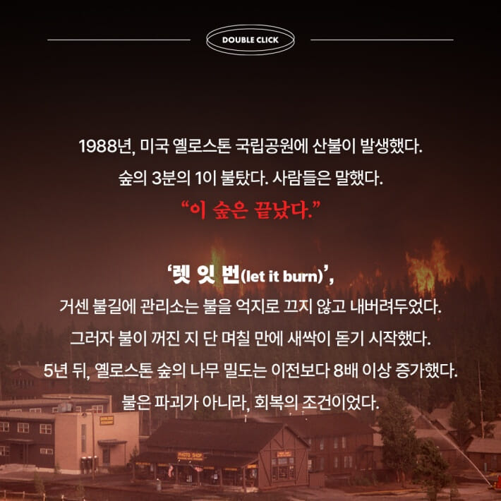 카드뉴스7