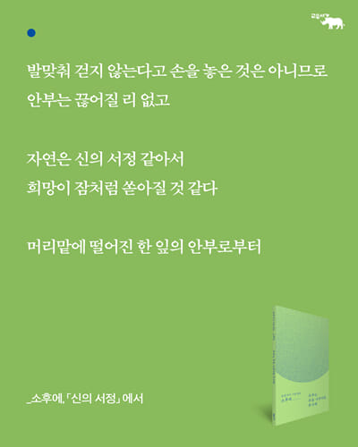카드뉴스5