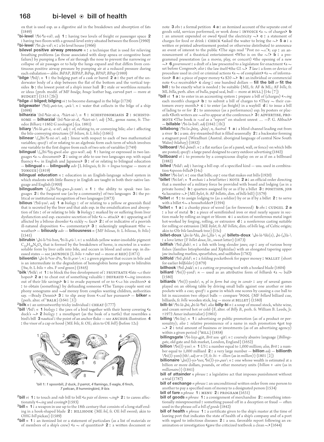 상세 이미지 2