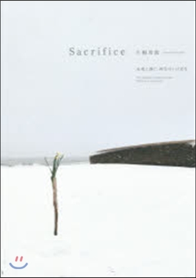 Sacrifice 未來に捧ぐ,再生のい