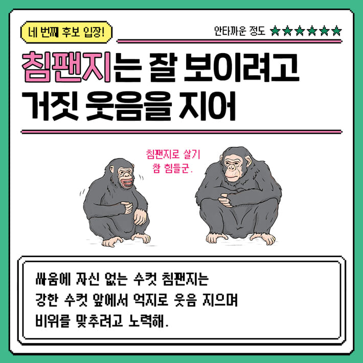 카드뉴스6