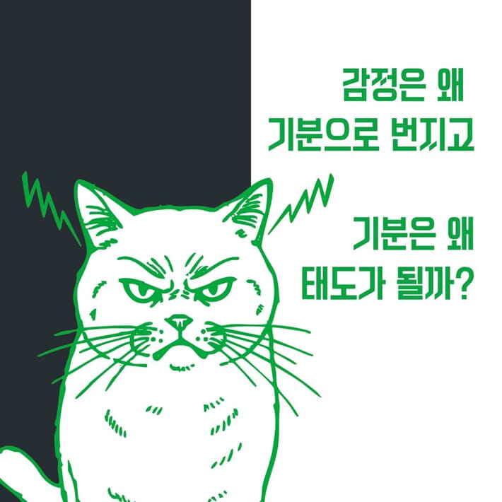 카드뉴스1