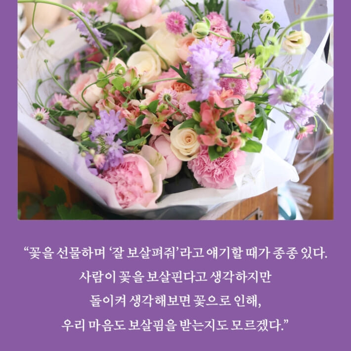 카드뉴스4
