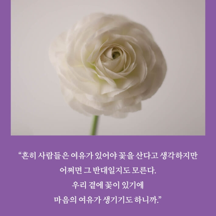 카드뉴스5