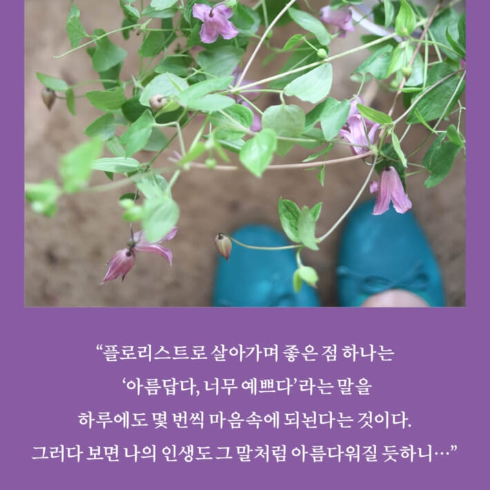 카드뉴스6