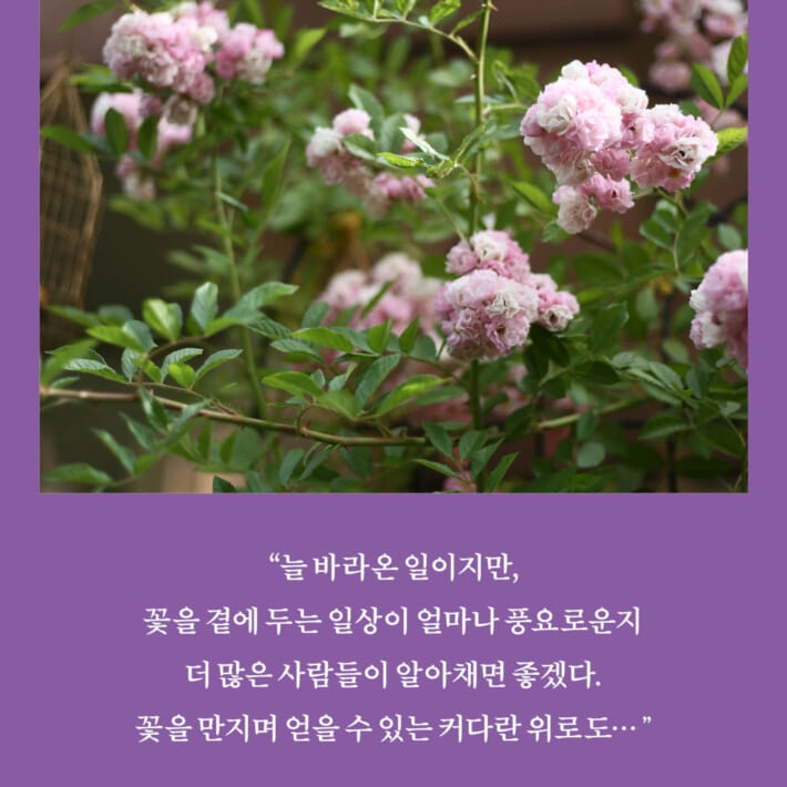 카드뉴스9
