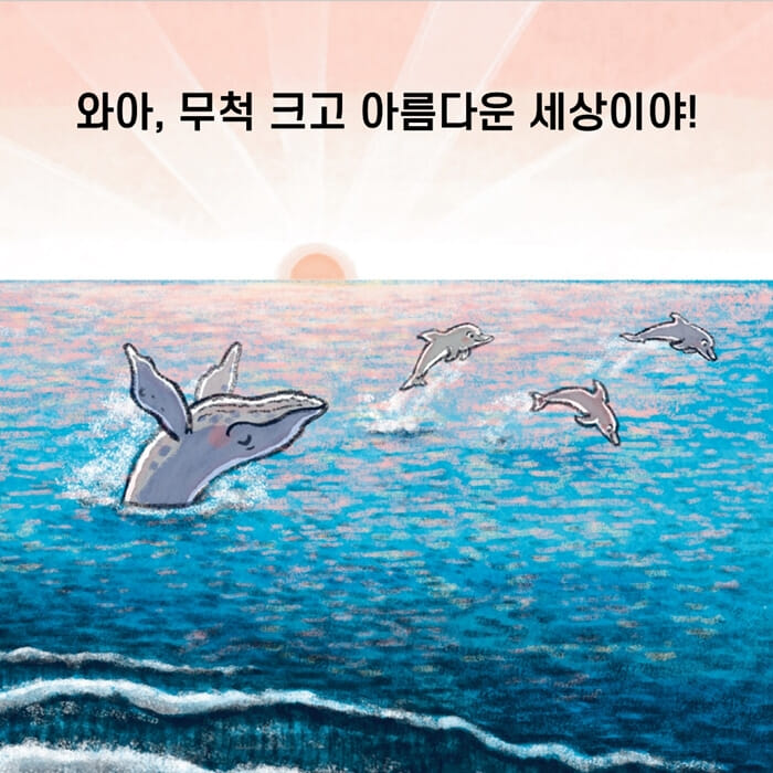 카드뉴스8