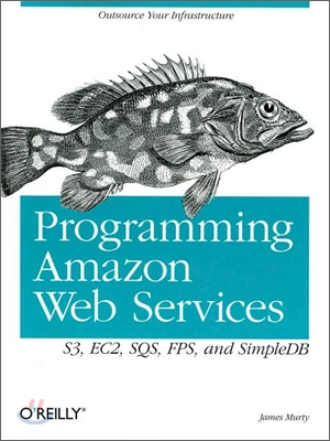 Programming Amazon Web Services