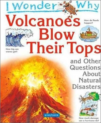 I Wonder Why : Volcanoes Blow Their Tops and Other Questions about Natural Disasters (Paperback)