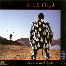 Pink Floyd - Delicate Sound Of Thunder (2CD/수입)