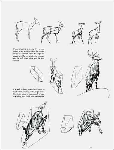 The Art of Animal Drawing: Construction, Action Analysis, Caricature