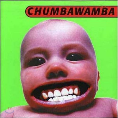 Chumbawamba - Tubthumper