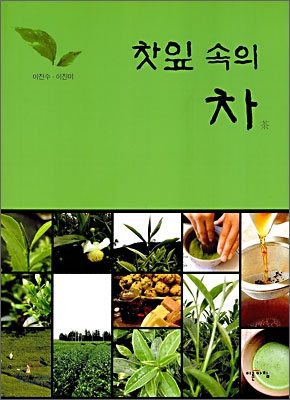 찻잎 속의 차