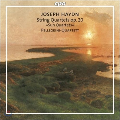 Pellegrini Quartett 하이든: 태양 사중주집 (Haydn: String Quartets &#39;Sun Quartets&#39; Op.20)