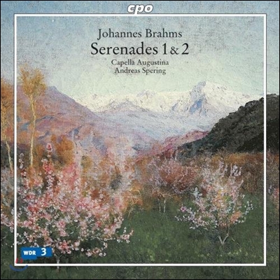 Andreas Spering 브람스: 세레나데 1번, 2번 - 시대악기 연주반 (Brahms: Serenades 1 &amp; 2)