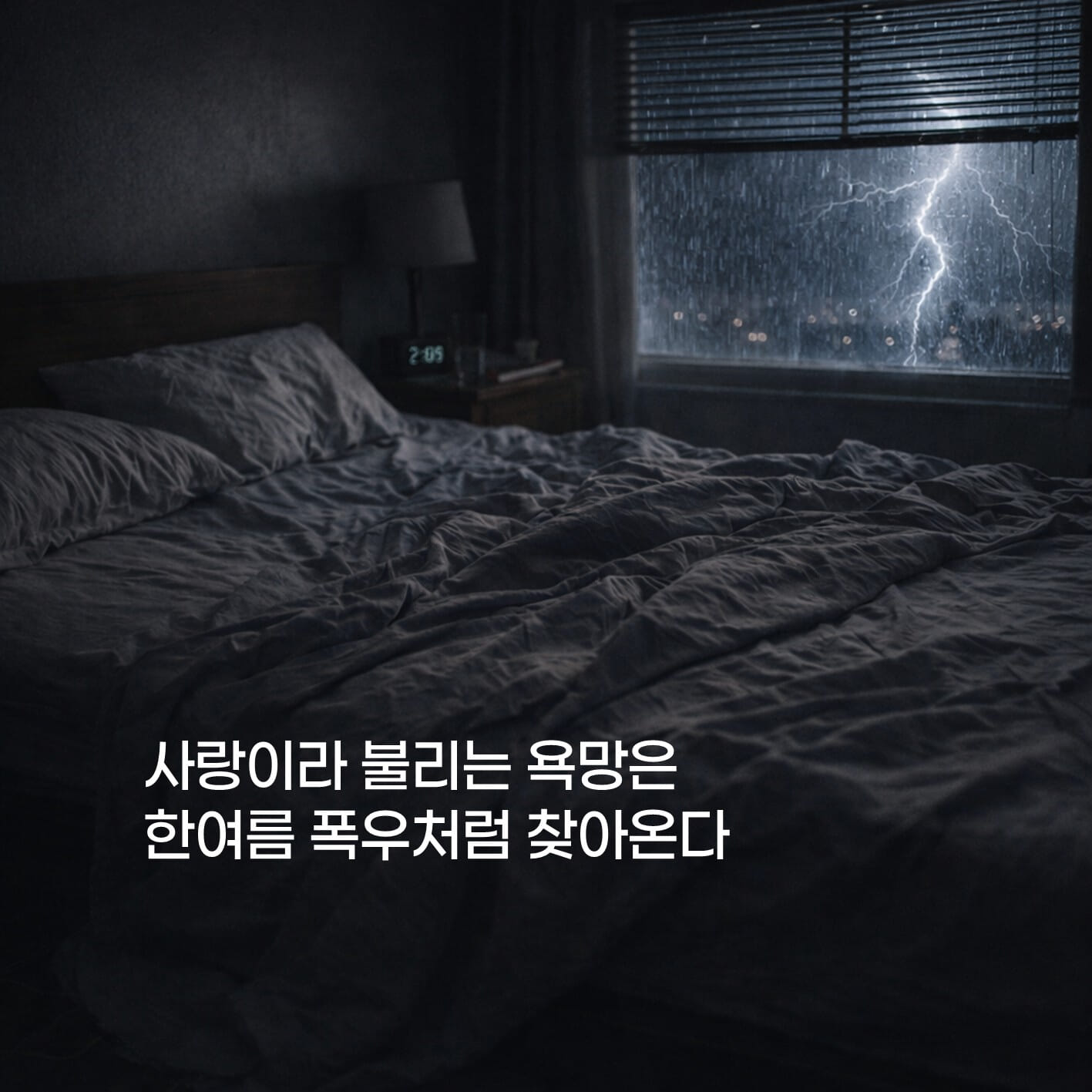 카드뉴스