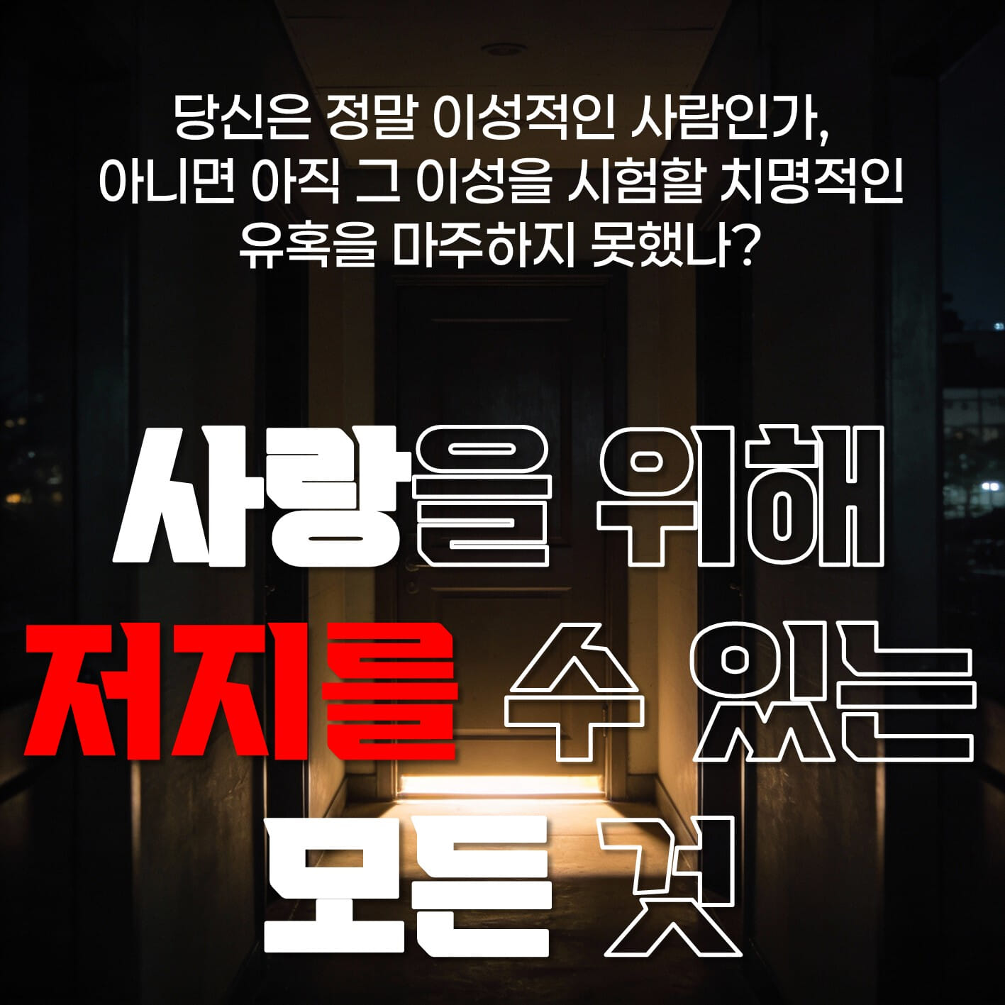 카드뉴스