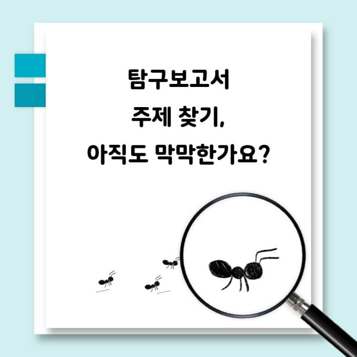 카드뉴스1