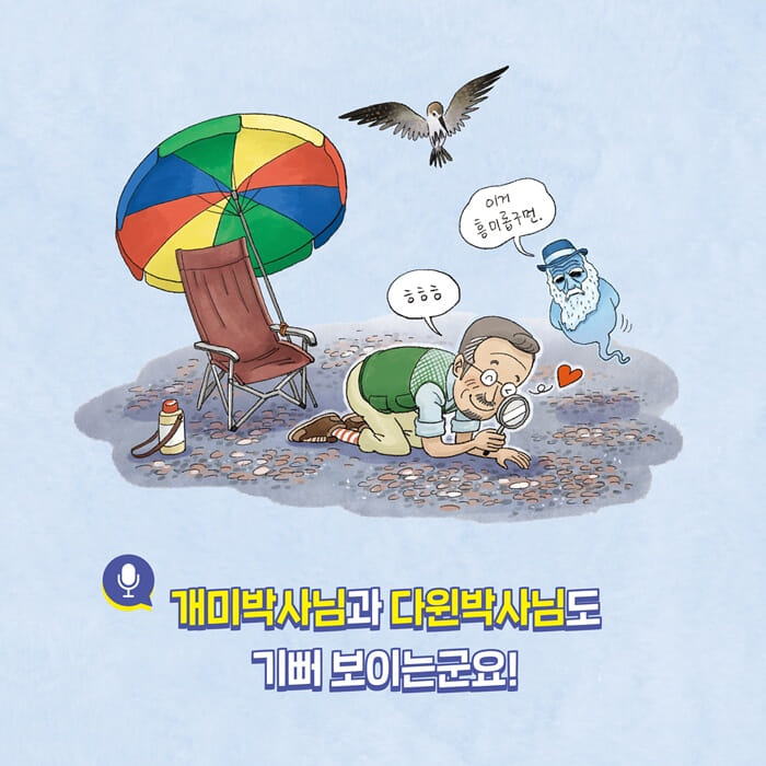카드뉴스3