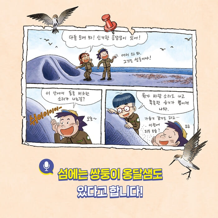 카드뉴스5