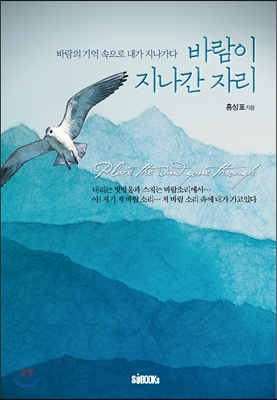 바람이 지나간 자리 