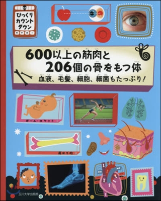 600以上の筋肉と206個の骨をもつ體