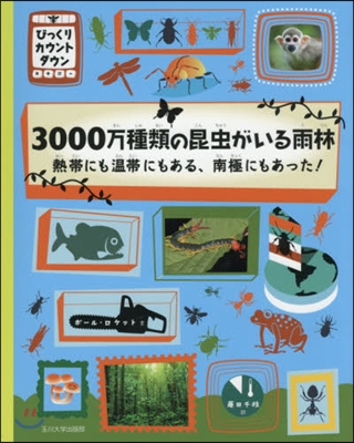 3000万種類の昆蟲がいる雨林 熱帶にも