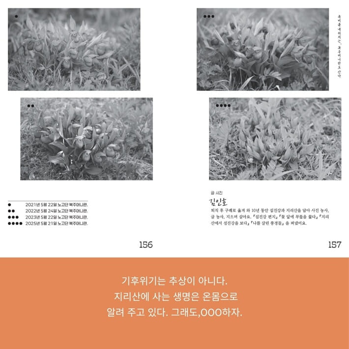 카드뉴스4