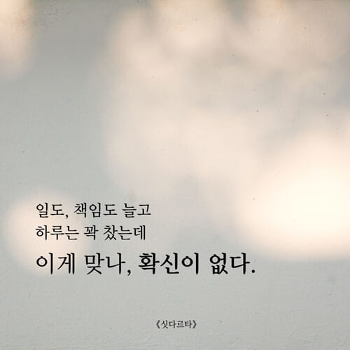 카드뉴스2
