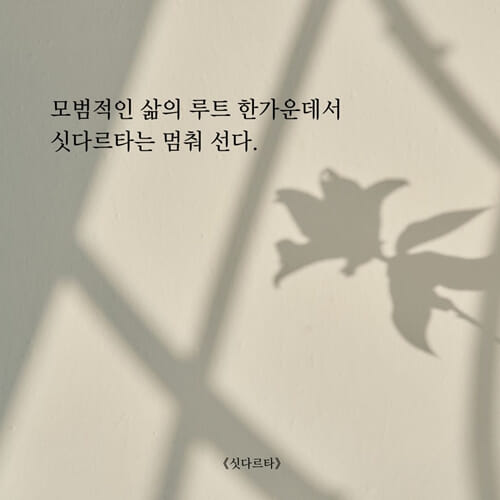 카드뉴스5